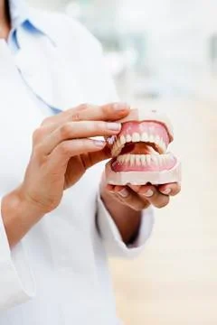 Young doctor exhibiting dentures, close up Stock Photos