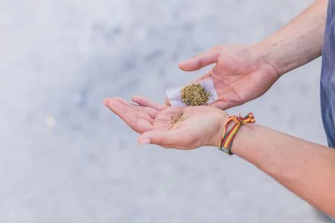 Young doing a marijuana joint. Close up smoke cannabis as a concept of Stock Photos