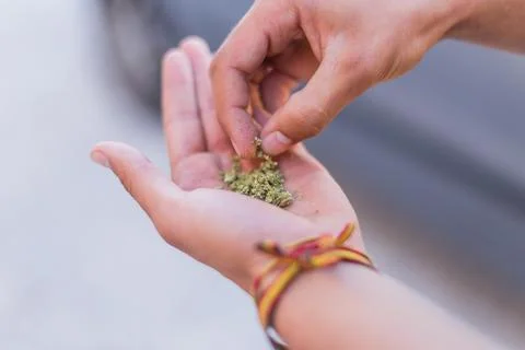 Young doing a marijuana joint. Close up smoke cannabis as a concept of Stock Photos
