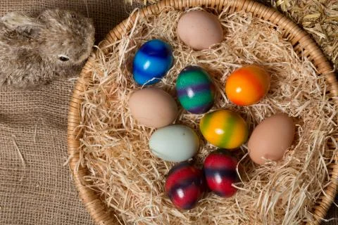 Young easter chicks in the nest Stock Photos