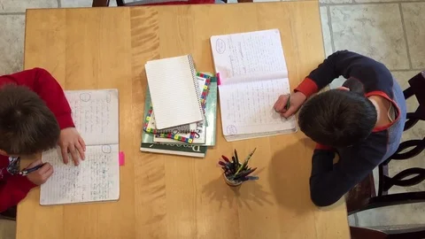 Young elementary school aged boys learning at home in the kitchen Stock Footage 128615100