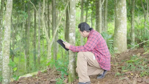 Young environmental researcher using digital tablet to analyze data collecting Stock Footage 309914779