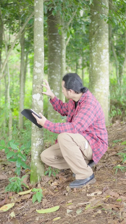 Young environmental researcher using digital tablet to analyze and data collect Stock Footage 309915125