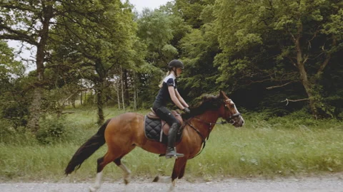 Young Equestrian Mounted in a Horse by the Lush Forest and Bright Sky Horizon Stock Footage 158854341