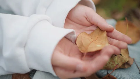 Young explorer examines leaf detail. Child carefully holds delicate leaf 스톡 동영상 347322908