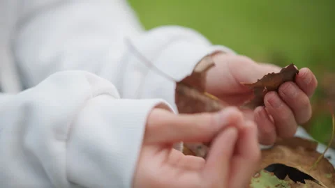 Young explorer inspects leaf details. Youthful hands delicately analyze natural Stock Footage 346385126