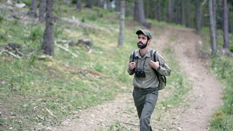 Young explorer man walking in the forest. Park ranger hiking in the woods. Stock Footage 268268098