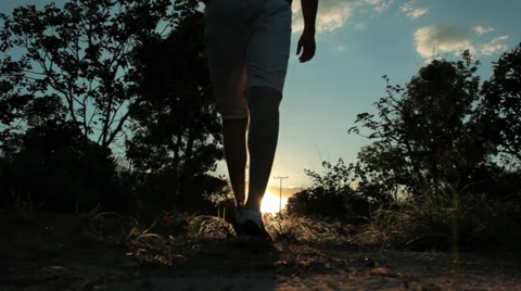 Young explorer man walking in the jungle Stock Footage 33702449