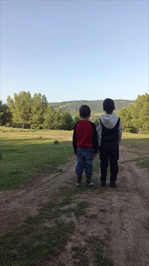 Young Explorers Discovering the Great Outdoors. Video stock 333531037