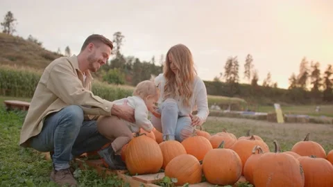 Young family at pumpkin patch during sunset 库存影片 219405371
