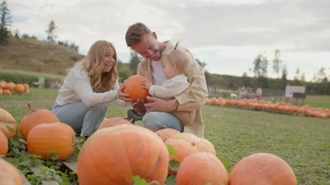 Young family at pumpkin patch, handing pumpkin to toddler 库存影片 219405076