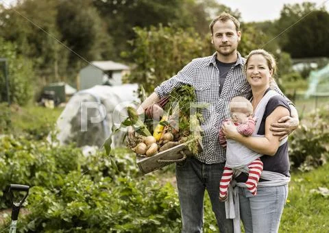 Young Family Standing In Their Allotment, Smiling. Man Holding A Box Full Of