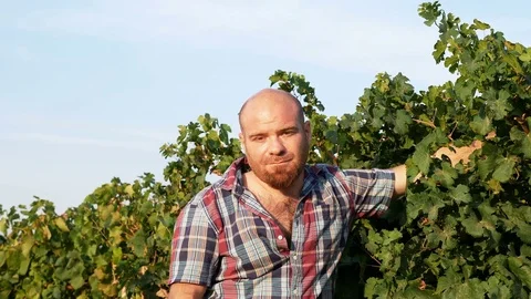 Young farmer drying his forehead after a day of work in the fields Stock Footage 81185384