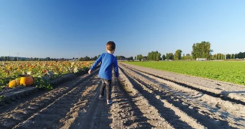 Young farmer Stock Footage 95730531
