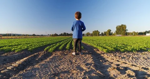 Young farmer. Stock Footage 95730808