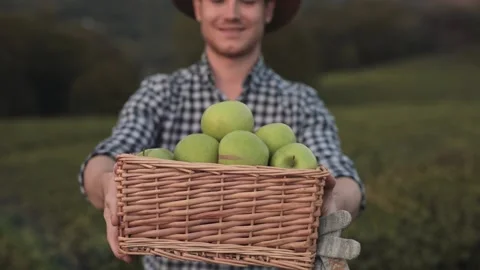 A young farmer has grown apples and with a smile holds out a basket with green Vídeo Stock 219285489