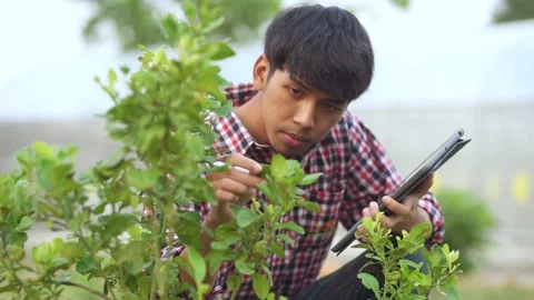 Young farmer holding tablet and checking plants in field	 Stock Footage 144334852