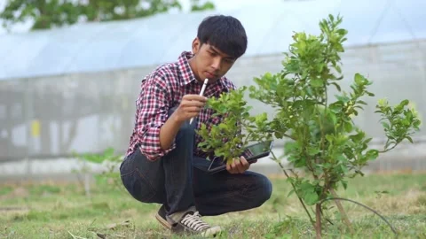 Young farmer holding tablet and checking plants in field	 Stock Footage 144334856