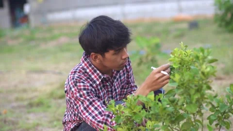 Young farmer holding tablet and checking plants in field	 Stock Footage 144334891