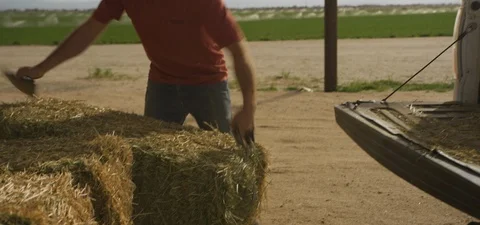 Young Farmer Loads Hay Bales Into Truck In Slow Motion 3 Stock Footage