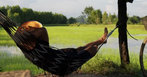 Young farmer lying in hammock under roof of hut for resting and look out  Vídeos de archivo 202118575