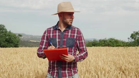 Young farmer man with hat and a folder observes a wheat plantation Video stock 239332118