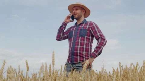 Young farmer man talking on a mobile phone in a wheat plantation Stock Footage 224481667