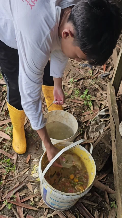 Young Farmer Mixing Liquid Fertilizer in Buckets Видео 331996053