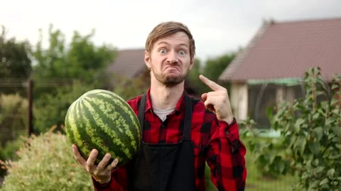 Young farmer pointing to watermelon in his hand. The benefits of watermelon. Stock Footage 316749247