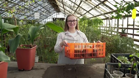 Young farmer puts a basket of seedlings on the table. Gardening, botany, plant Stock Footage 186446378
