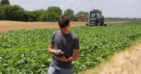 Young farmer with a tablet checking a ripe wheat field Stock Footage 276831574