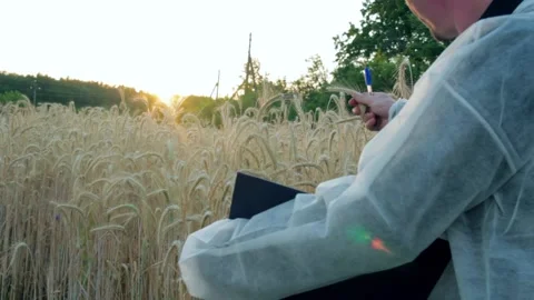 Young farmer with tablet checks the quality of wheat in the field Stock Footage 135478302