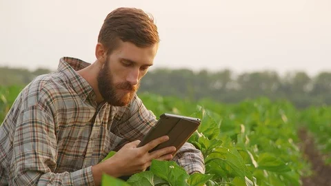 Young farmer with tablet on the field Stock-Footage 90774985