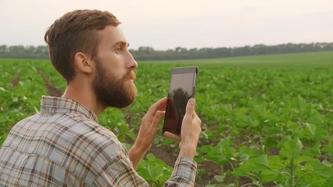 Young farmer with tablet on the field Stock Footage 90774992