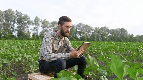Young farmer with tablet on the field Stock Footage 90834790