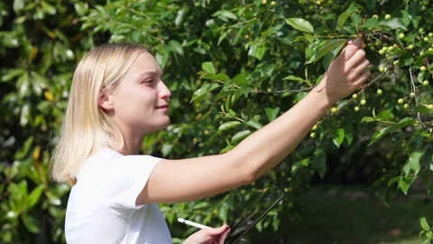 Young Farmer Taking Notes on Her Tablet Stock Footage 130595617