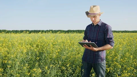 A young farmer uses a digital tablet Stock Footage 90161762