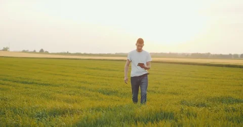 Young Farmer using digital tablet Stock Footage 76450991