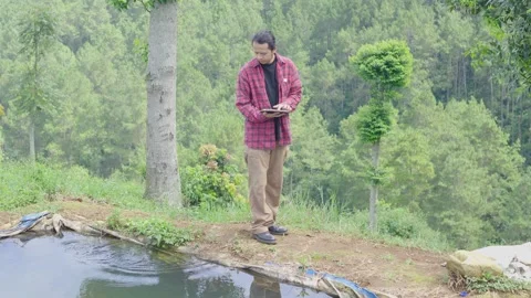 Young farmer using digital tablet inspecting traditional freshwater fish pond Stock Footage 309915265