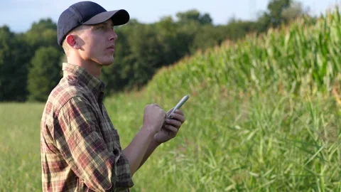 Young Farmer Using Smartphone to Take Notes on His Fields Stock Footage 137725258