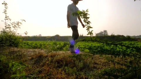 Young Farmer walking between field Stock Footage 195412970