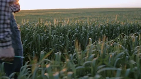Young farmer walking on green field. Slow motion Stock Footage