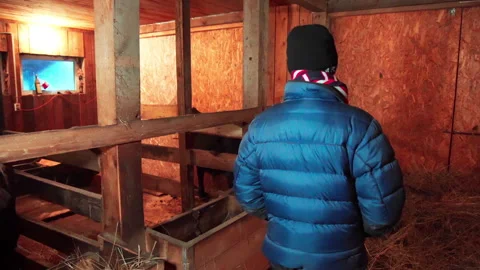 A young farmer walks through the barn Stock Footage 168997620