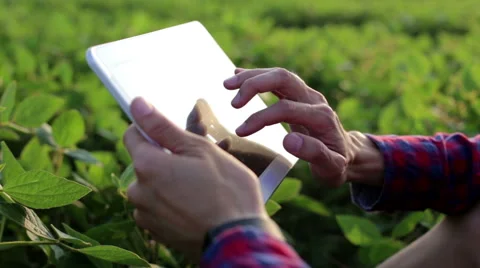 Young farmer is working on a tablet in the field Stock Footage 65751546