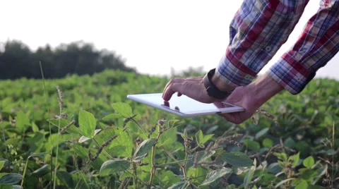 Young farmer is working on a tablet in the field Vídeo Stock 67527702