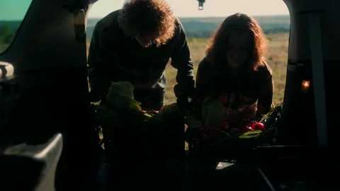 Young farmers loading crates of fresh vegetables into car in countryside Video stock 317083623