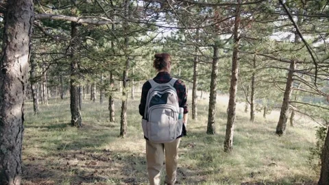 A young female with a backpack walks through the autumn forest during sunset. Video stock 283171411