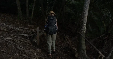 Young female backpacker walking down to tropical beach Stock Footage 86106503