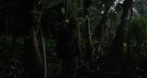 Young female backpacker walks through palm tree forest at dawn Stock Footage 86106154