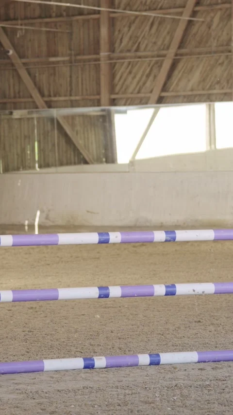 Young female equestrian practicing show jumping on her brown horse in a large Stock Footage 333698026
